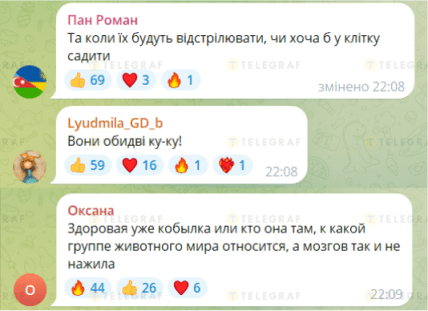 Негативні коментарі про квадроберів