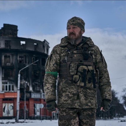 Роберт Бровди фото