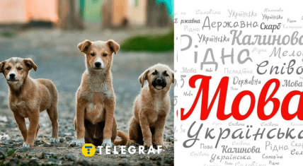 Щенки