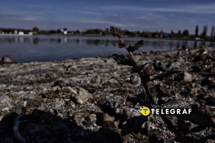 Донецкая область 2025