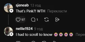 Комментарии sjeneab и nellie1924 на английском с вопросом о Pink и признанием, что певицу узнали не сразу