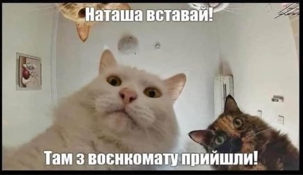 Картинка о военном учете женщин