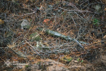 Російські боєприпаси у лісах Харківської області