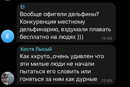 Дельфіни в Одесі плавають біля людей