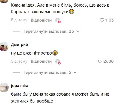 Комментарии пользователей