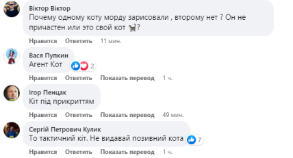 кот, СБУ, реакция