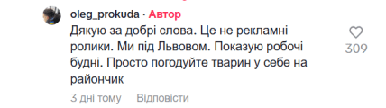Коментар автора до відео з безпритульною собакою