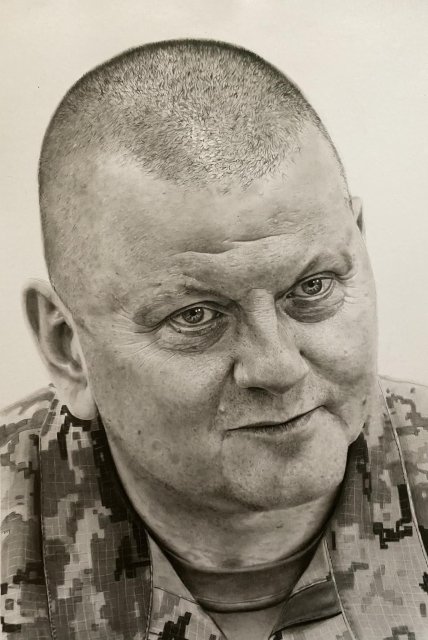 Валерій Залужний. Картина Олександра Канюкі