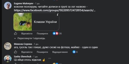 Комментарии пользователей