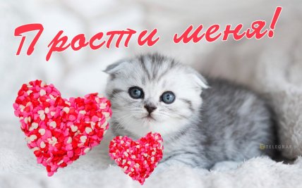 Картинка Прости меня