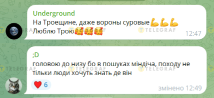 Комментарии о вороне