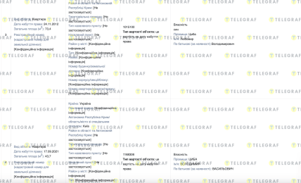 Декларация Цыбы Владимира