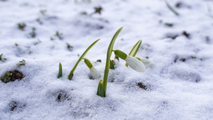 Що буде з погодою у березні в Україні у 2026