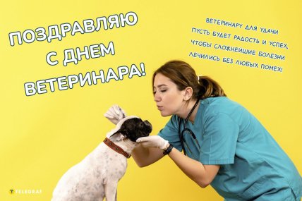 день ветеринара поздравления открытки и картинки