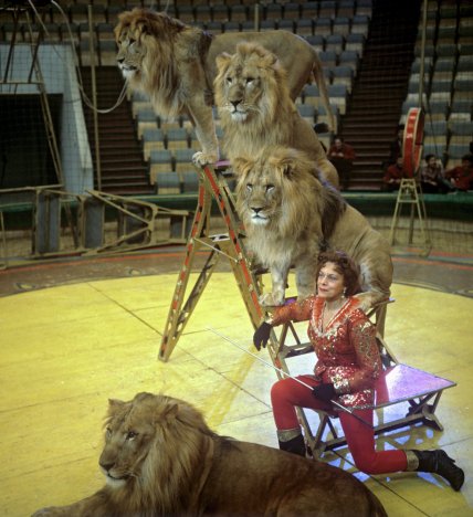 Ірина Бугримова, що про неї відомо