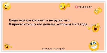 анекдот про кота
