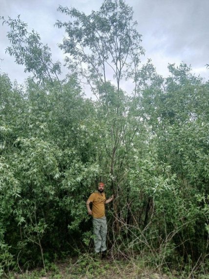 Каховское водохранилище сейчас