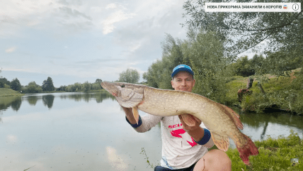 Мужчина показал настоящую рыбу-монстра