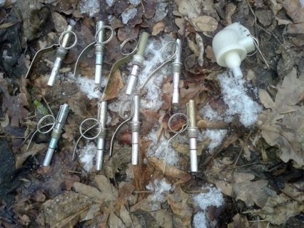 На Донбассе в стволе дерева нашли большой тайник с боеприпасами