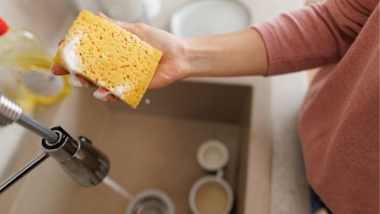 Де використати стару губку