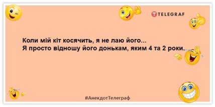 анекдот про кота