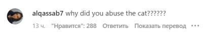 В сети раскритиковали Хасбика за насилие над котом