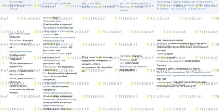 Декларация Цыбы Владимира