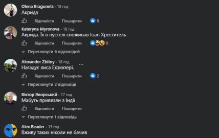 Комментарии пользователей