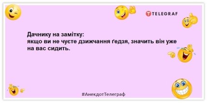 анекдоти про дачників город