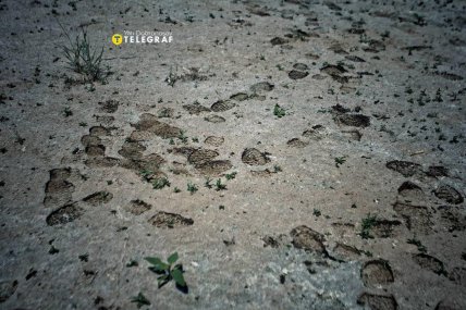 Каховское водохранилище после подрыва дамбы