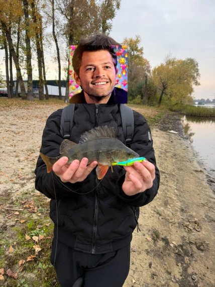 окунь гідропарк