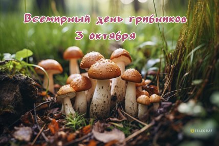 открытка всемирный день грибника 3 октября