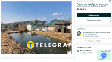 У Долишньому Шепоті продають велику садибу