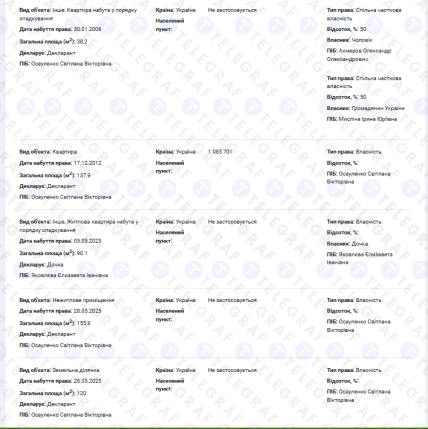 Скріншот декларації Світлани Осауленко