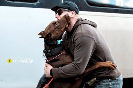 Доберман на вокзале