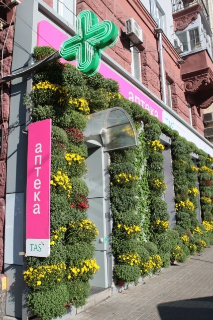 TAS – за здоровый образ жизни - изображение №1