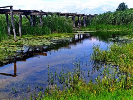 Самый длинный мост в Украине сделан из дуба