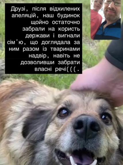 Сток сына Повалий