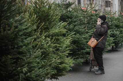 Елочный базар в Харькове