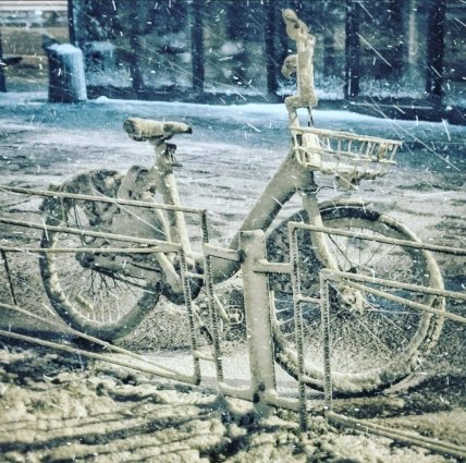 Сніг в Києві