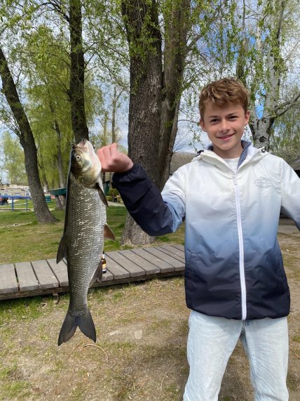 Жерех, пойманный в реке Днепр