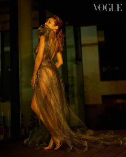 тіна кароль у довгій сукні