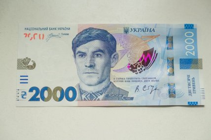 Стус на гривні