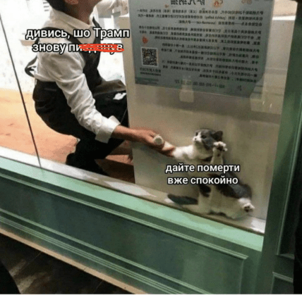 Мемы о встрече Трампа и Зеленского