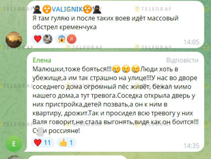 Сирена и собаки в Кременчуге