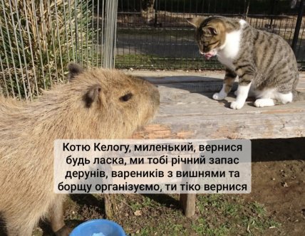 Меми про війну в Україні, атаки та повітряні тривоги