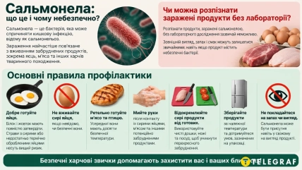 Сальмонелла – это опасная бактерия, вызывающая кишечную инфекцию