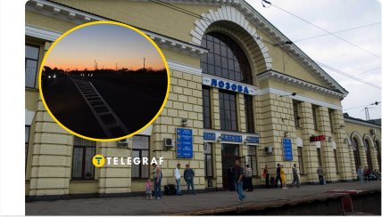 Секс үшін шошқа