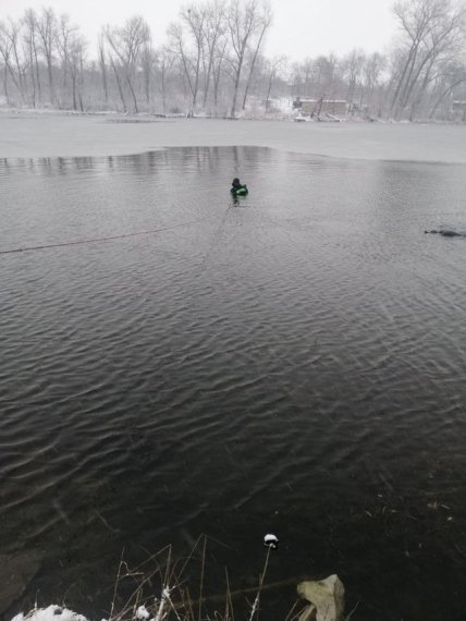 гсчс поисковые работы