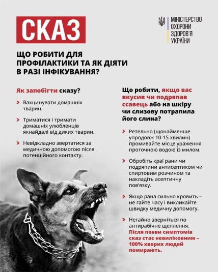 Инфографика Мининстерства здравоохранения. Что делать для профилактики бешенства